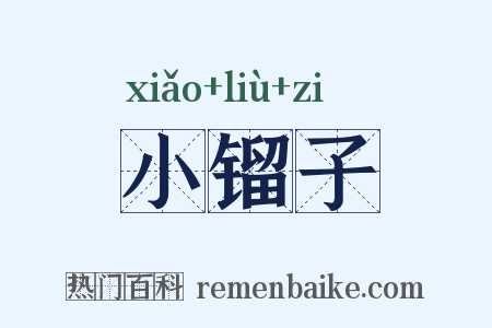 小镏子是什么意思的图片